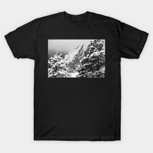 Through The trees T-Shirt